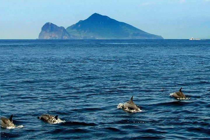 ▲龜山島週邊海域可進行賞鯨豚、繞島、登島旅遊活動。　圖：東北角管理處／提供
