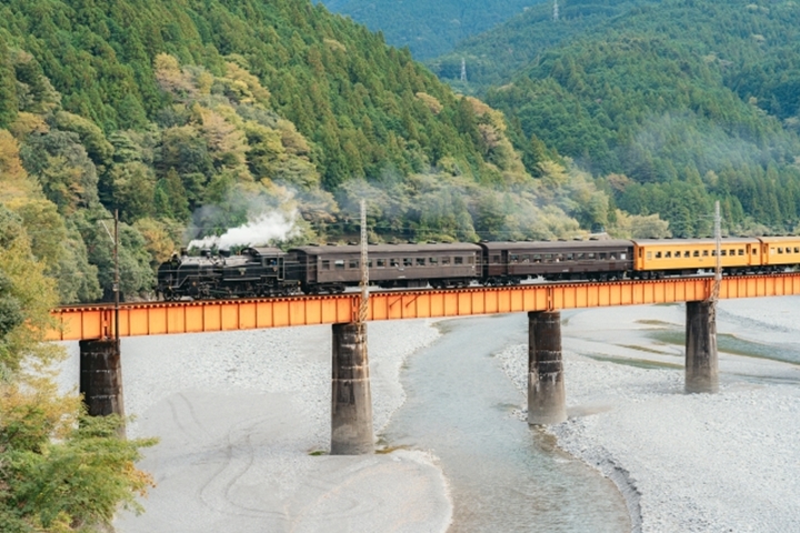 ▲大井川鐵道能感受SL列車魅力，還有特色的湯瑪士小火車能預約搭乘。　圖：WAVEDASH／來源