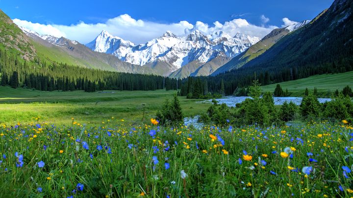 ▲塞外江南-伊犁，天山夏塔河谷。　圖：shutterstock／來源