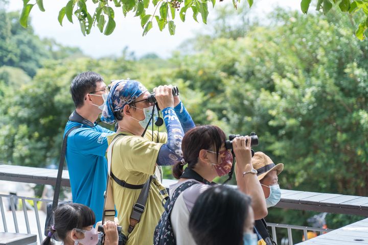 觀音山賞鷹季節開始了。　圖：北海岸及觀音山國家風景區管理處／提供