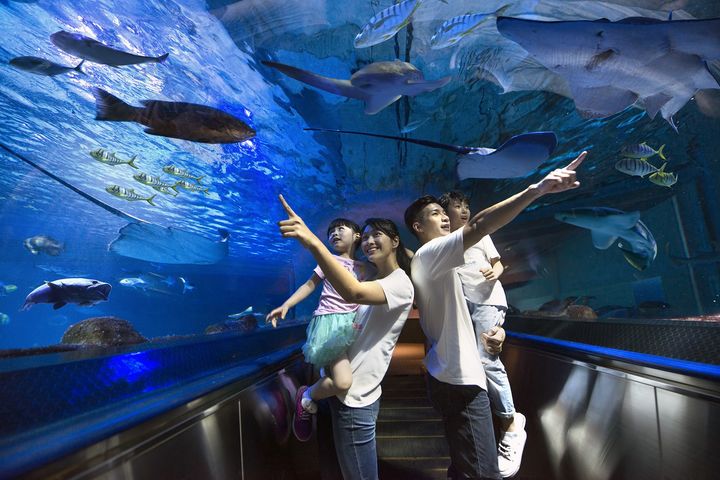 搶便宜！花蓮海洋公園春夏旅展下殺77折再送抵用券