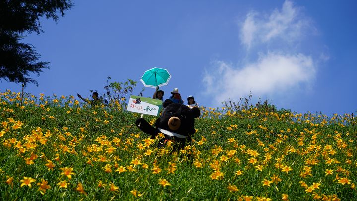 ▲5-7月金針花季期間，歡迎大家到中彰、參山踏青旅遊。　圖：參山國家風景區管理處／提供