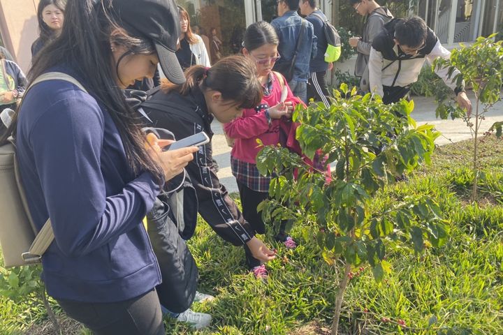 ▲珈神咖啡教育館讓遊客能親手觸摸到咖啡樹。　圖：珈神咖啡教育館／提供