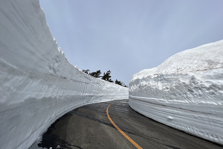 ▲藏王ECO LINE雪之迴廊一路綿延的雪白景色魄力十足。　圖：向日遊顧問有限公司／來源