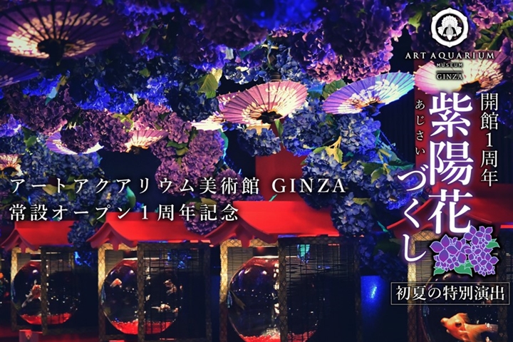 「ART AQUARIUM MUSEUM GINZA」為近年來東京話題景點。　圖：ART AQUARIUM製作委員會／來源