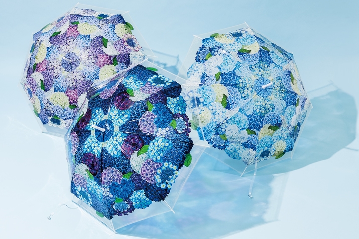 ▲夢幻無比的繡球花傘，在北海道到四國地區的知名繡球花景點都有機會免費租借。　圖：FELISSIMO／來源