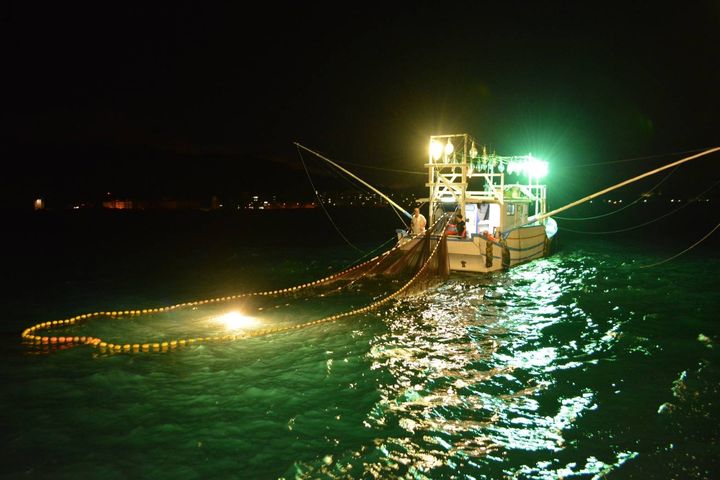 ▲基隆鎖管季的夜訪鎖管與夜釣體驗。　圖：基隆市政府／提供