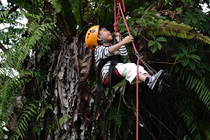 飯店推攀樹走繩兒童營隊。　圖：花蓮丘丘‧森旅／提供