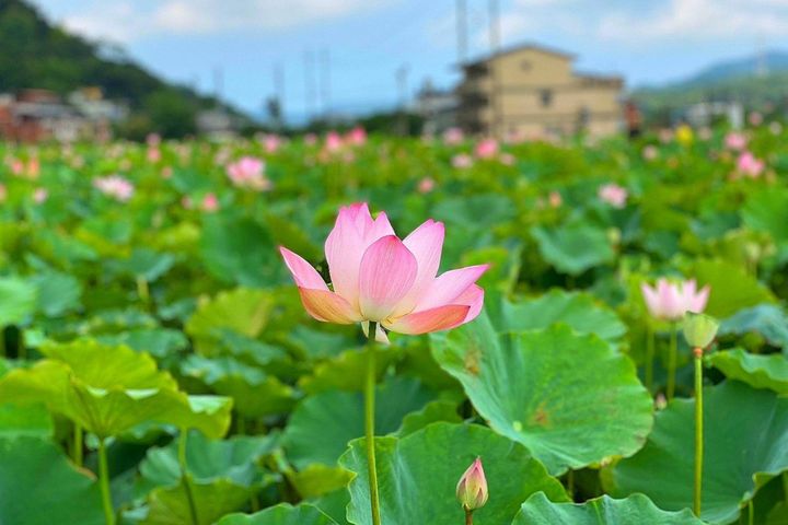 端午連假去哪玩？ 新北嚴選好去處大公開