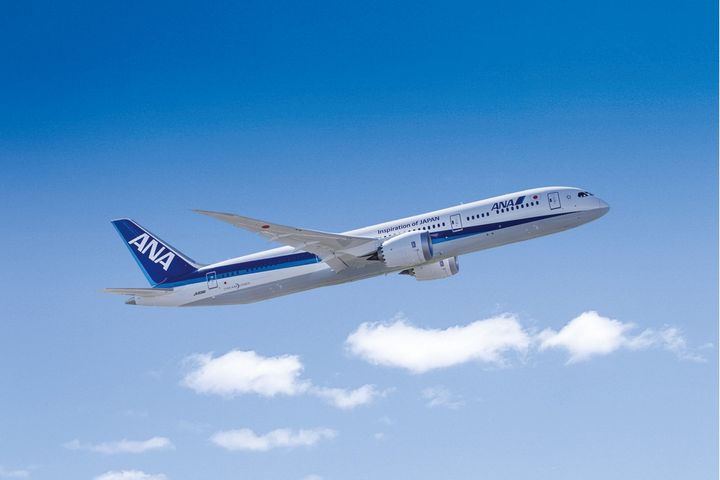 ANA航空的飛機。　圖：全日空航空／提供