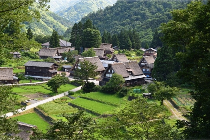 ▲世界遺產相倉合掌集落夏季新綠景色絕美，推薦騎自行車深度觀光。　圖：向日遊顧問有限公司／來源