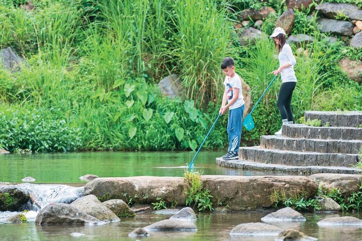 親子同樂！盛夏超Fun玩台北 農遊.健行.藝文.樂園「4路線」