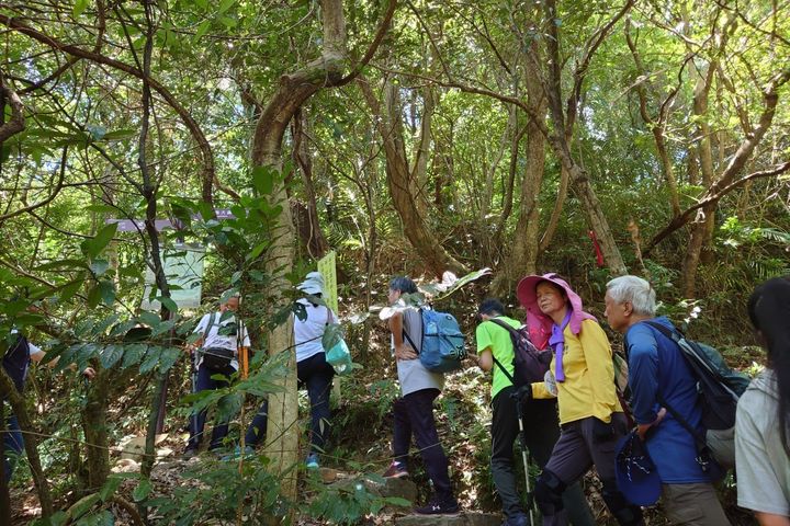 暖東峽谷步道為淡蘭百年山徑中路的起點，民商往來的必經之路，先民踏上淡蘭古道來到暖暖老街交易，有豐富的人文歷史與自然景觀。　圖：新北市政府觀光旅遊局／提供