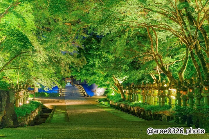 ▲夏季期間綠葉圍繞境內，燈光點綴後更有另類風情。　圖：勝尾寺／來源