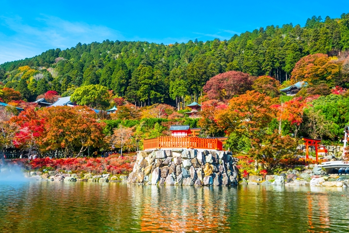 ▲勝尾寺的紅葉面貌繽紛多彩，推薦多次重遊收集四季美景。　圖：勝尾寺／來源