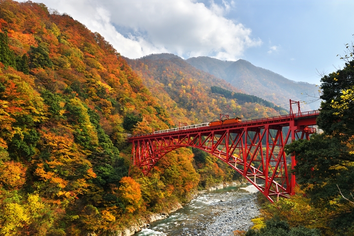 ▲秋天從黑部峽谷鐵道電車上看到的山巒就像一張華麗絨毯。　圖：日本富山縣／來源