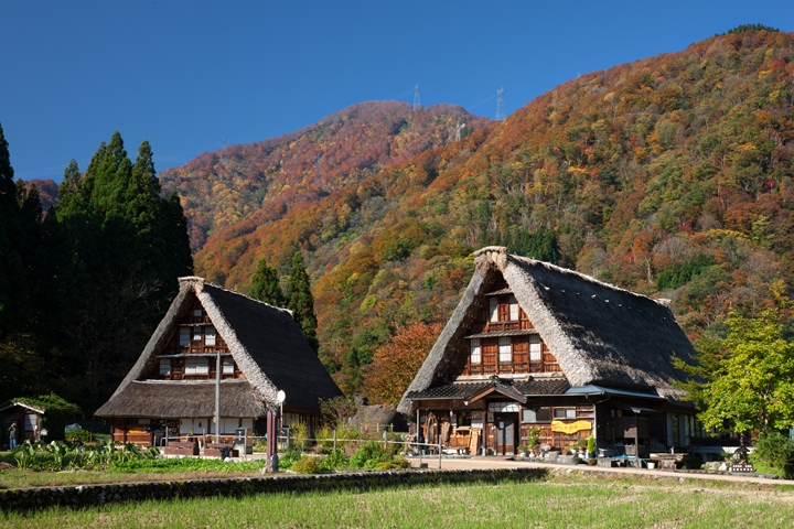 ▲富山縣五箇山合掌村。　圖：日本富山縣／來源