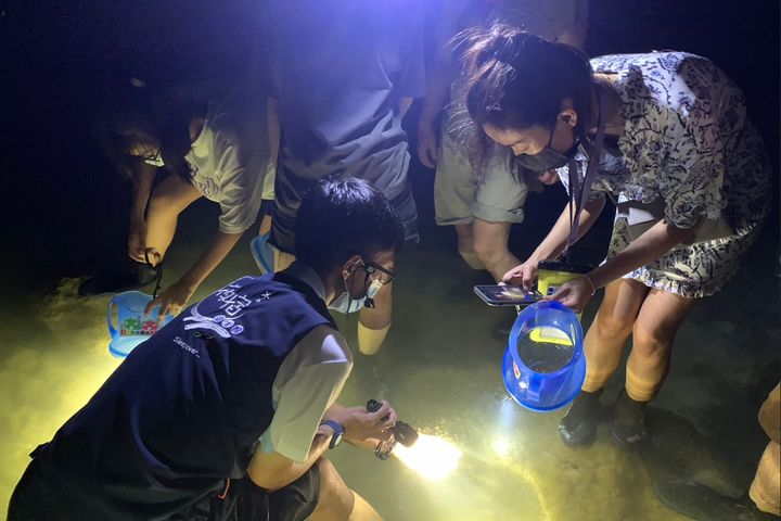 「夜巡海生館」探訪潮間帶活動於9月底截止。　圖：國立海洋生物博物館／提供