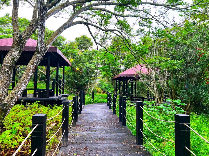 ▲經過整修的涼亭和平台，讓台中大坑1號登山步道體訓場煥然一新。　圖：中市觀旅局／提供