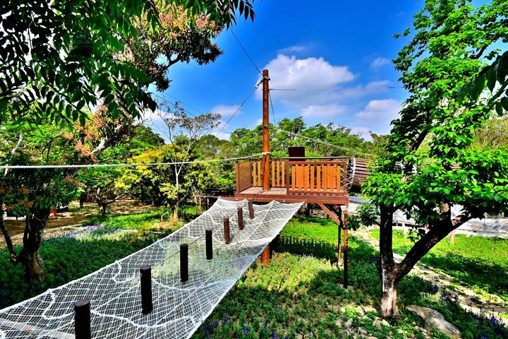 台中大坑1號登山步道體訓場的體訓設施－巨人之路。　圖：中市觀旅局／提供