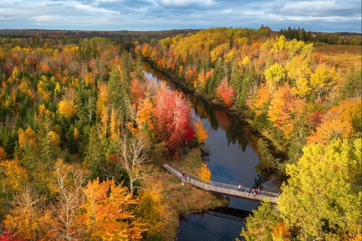 加拿大秋色魅力：紅葉與多彩體驗的完美交織