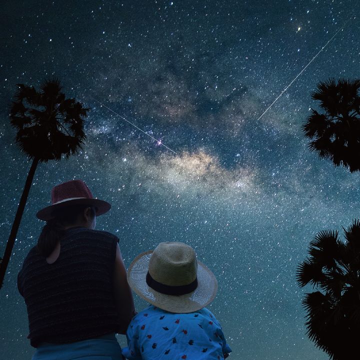 ▲縱谷星光－秧悦美地漫遊星空香草花園。　圖：花蓮縣政府／提供