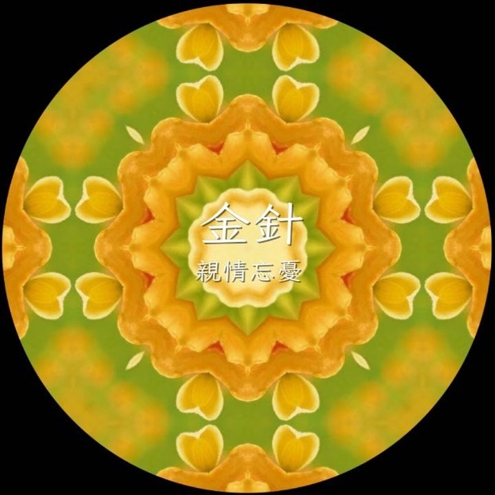 ▲＜花TIME＞LED投影萬花筒動畫－《金針－親情忘憂》。　圖：花蓮縣政府觀光處／提供