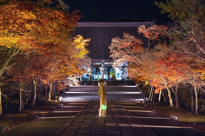 ▲仁和寺在春季以擁有晚開櫻花聞名，秋季則能欣賞參道兩側紅葉環繞景色。　圖：NAKED, INC.／來源