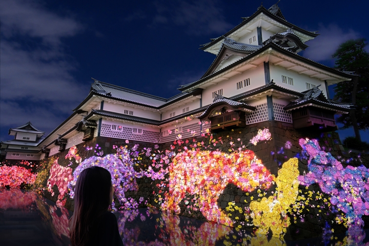 「居住在金澤城石垣的花卉與共生動物們」作品示意圖。　圖：teamLab／來源