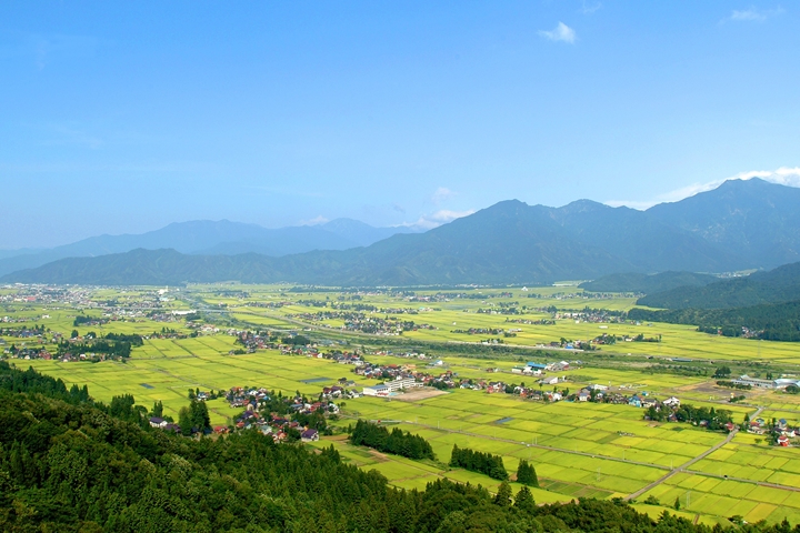 ▲新潟縣是「越光米」的主要產地，夏秋期間的稻田美景相當迷人。　圖：新潟縣觀光協會／來源