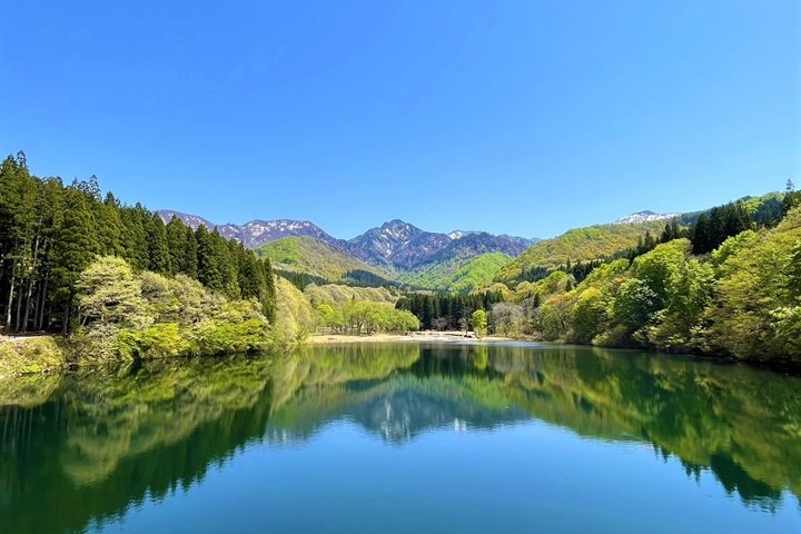 ▲「大源太Canyon」境內的大源太湖設有完善遊湖步道，全程約1.5公里，秋季能夠欣賞整片楓紅美景。　圖：新潟縣觀光協會／來源