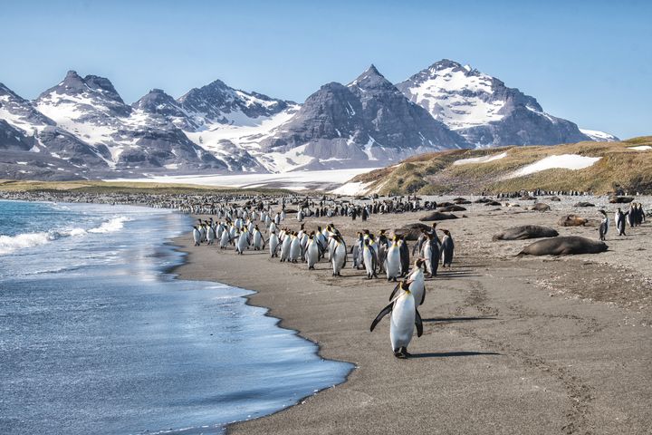 一生一次／南北極遠征 實現人生旅行最重量級的挑戰
