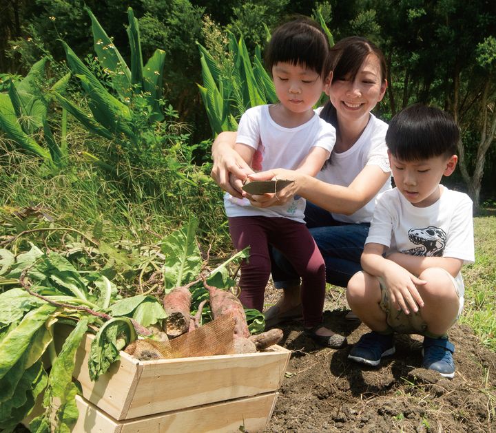 ▲秧悦美地「食農教育」體驗。　圖：君達集團/秧悦美地度假酒店／提供