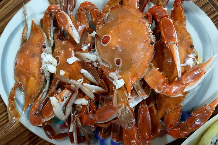 隨著時序入秋，新北市有一系列活動，美味萬里蟹食蟹季又到了。　圖：旅奇週刊／提供