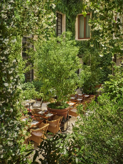 ▲宛如古城小森林的花園空間，是羅馬艾迪遜酒店美麗的一角。　圖：The Rome EDITION／提供