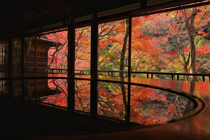 ▲境內靜謐高雅的紅葉絕景令人一見難忘。　圖：染工房夢祐斎／來源