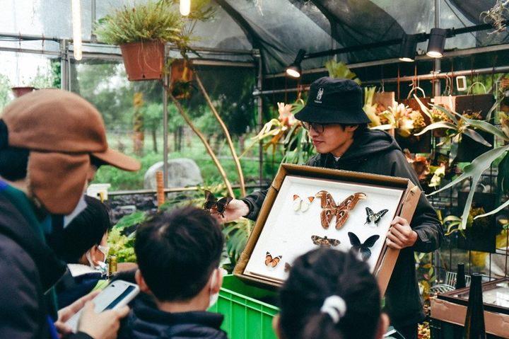 參觀遊客近距離接觸昆蟲生態。　圖：苗栗縣政府／提供 