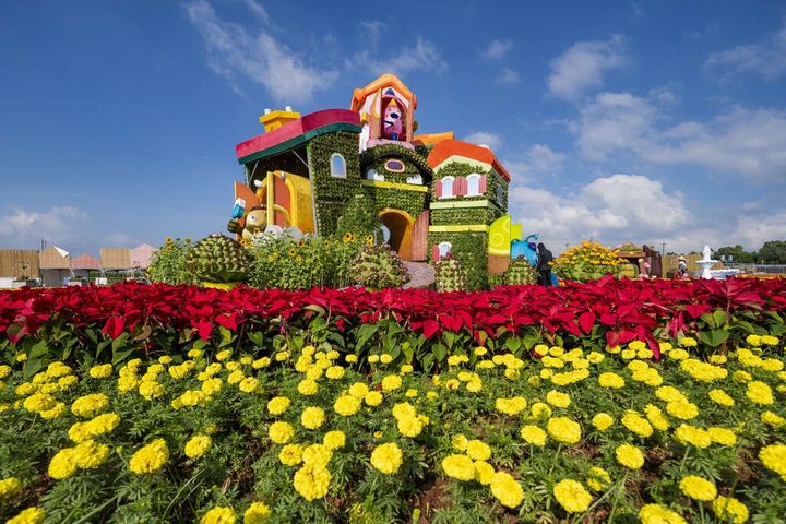 ▲11月、12月台中國際花毯節。　圖：台中市政府觀光旅遊局／提供