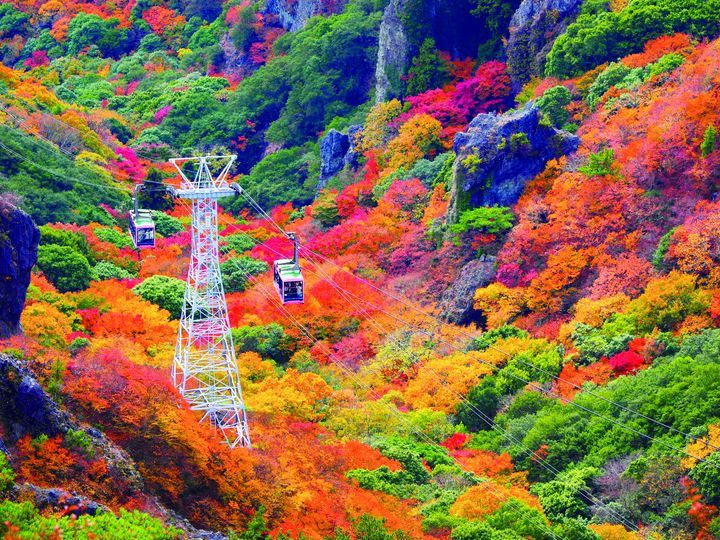 ▲小豆島寒霞溪滿山遍野的楓紅，搭乘纜車可一覽壯麗景色。　圖：shutterstock／來源