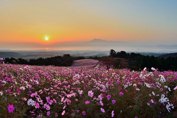 ▲白木峰高原的夕陽風景也十分迷人。　圖：長崎縣觀光連盟／提供