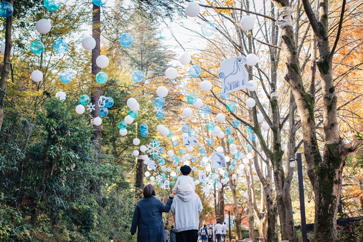 ▲色彩繽紛的WINTER WONDER ROAD，展現出冬季晝夜面貌。　圖：Moomin Valley Park／來源