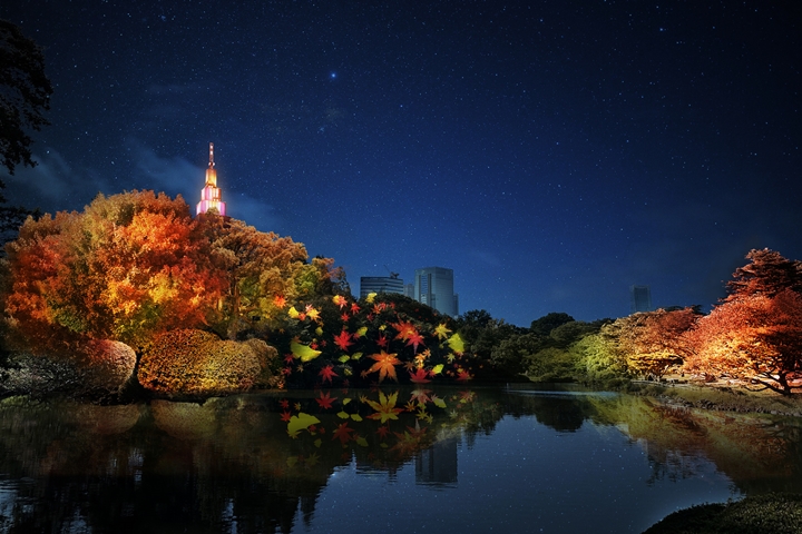 ▲中之池區域將紅葉與繁華都市模樣一齊呈現，可說是新宿獨有的夜楓景觀。　圖：NAKED, INC.／來源