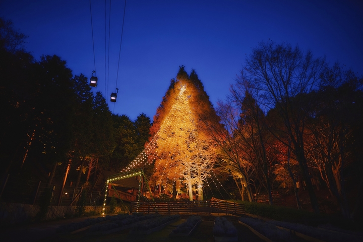 ▲「森林聖誕樹」的中心為高達25公尺的水杉，搭配夜色、纜車與星空點綴，彷彿引領遊客來到異世界。　圖：Kobe Resort Service Co., Ltd.／來源