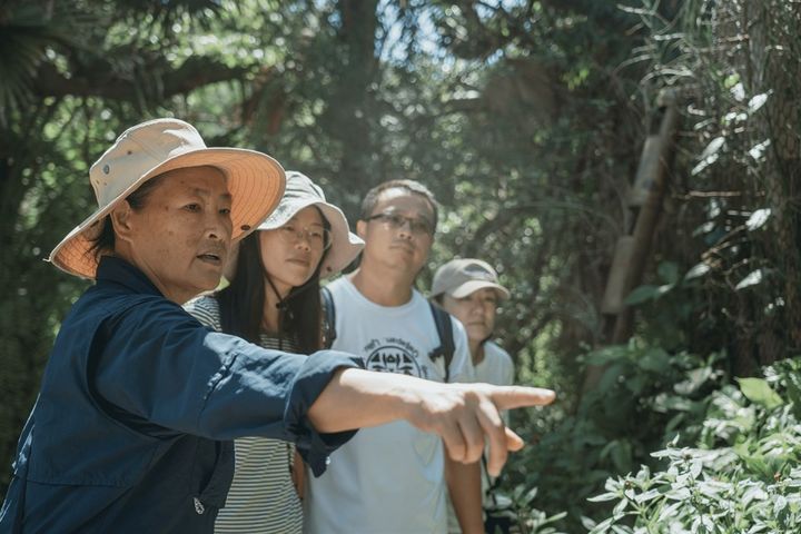 ▲生態導覽。　圖：花東縱谷國家風景區管理處／提供