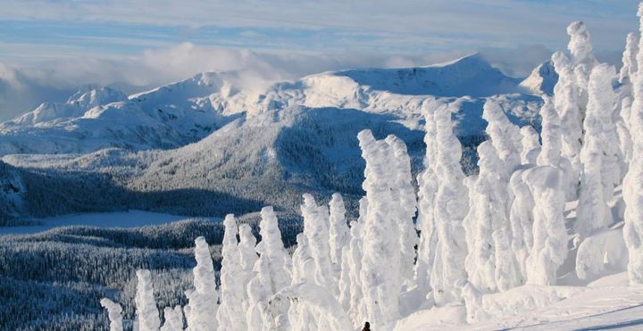 ▲華盛頓山高山度假村。　圖：Mount Washington Alpine Resort／提供