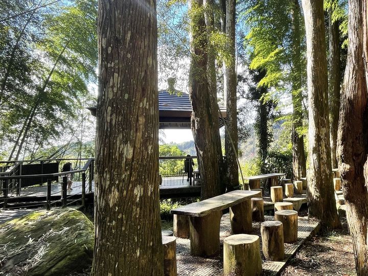▲頂湖步道。　圖：嘉義縣政府文化觀光局／提供