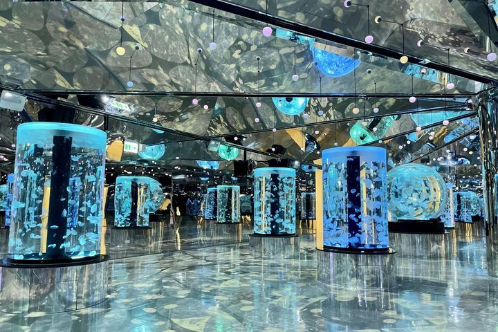 浪漫冬季限定版，看水母化身海中之雪翩翩起舞。　圖：台灣横浜八景島股份有限公司『Xpark』營業部／提供