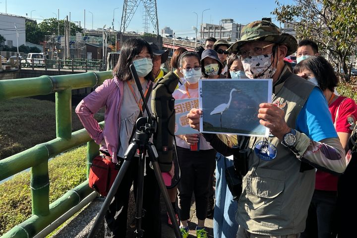 白鷺鷥駐足河畔 走讀鴨母港溝 重拾「鷺洲」回憶 