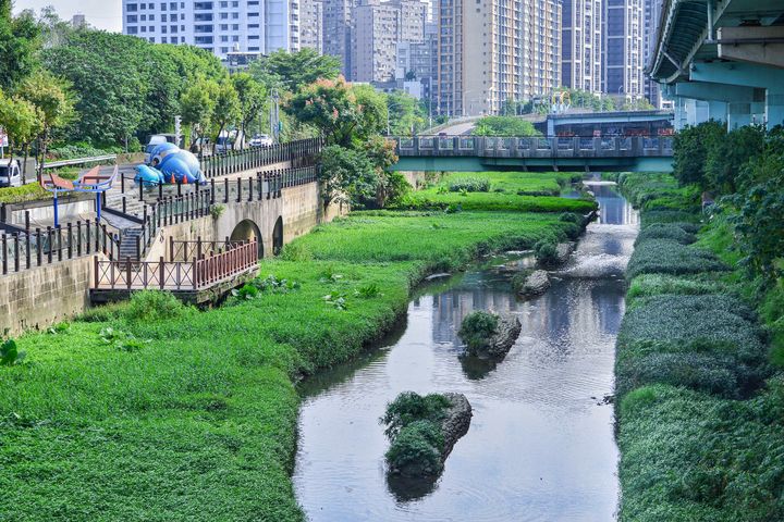 ▲湳仔溝已蛻變成一個具有生態多樣性的生態新樂園。　圖：新北市政府水利局／提供