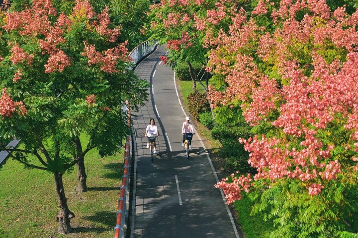 秋高氣爽的天氣最適合騎單車秋遊趣。　圖：新北市政府水利局／提供